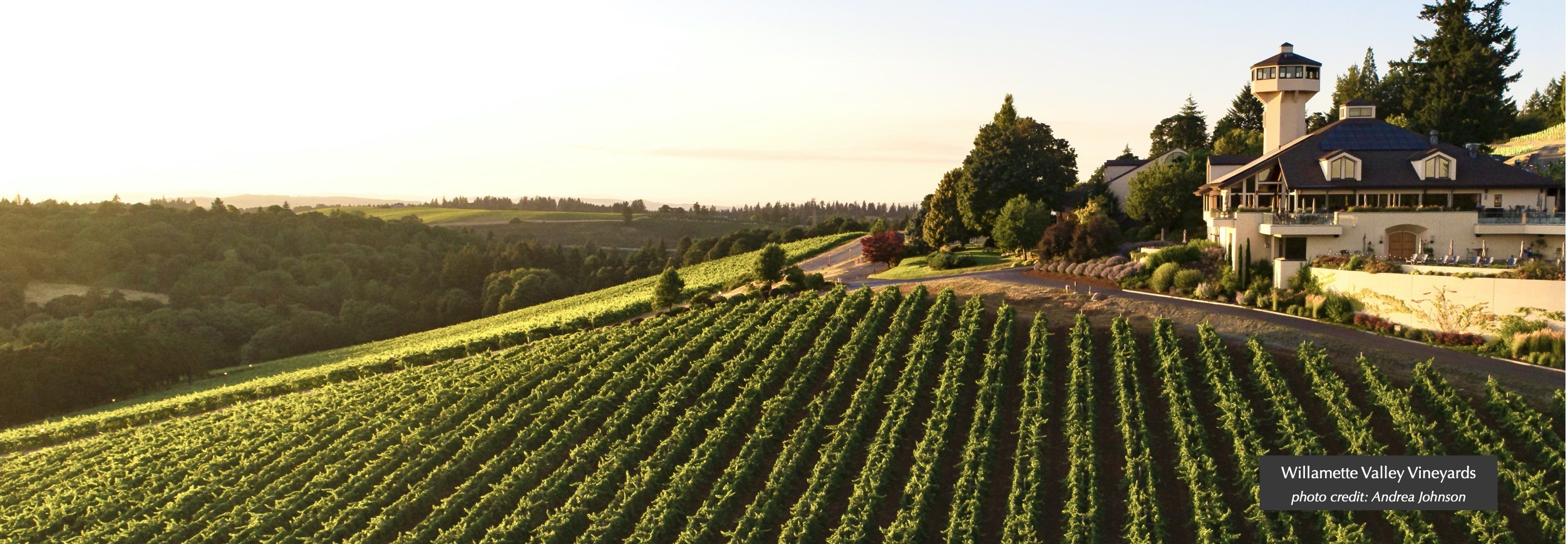 salem oregon wine tour