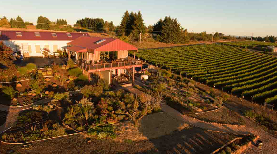 View of the Brooks winery tasting room deck and vineyards at sunset